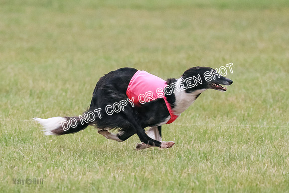 A Prelim Open 2 Camper Saucy-0623