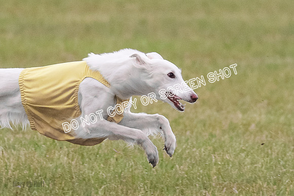 B Prelim Fch 1 Chyna Possum-0697