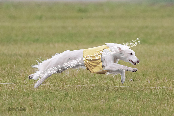 B Prelim Fch 1 Chyna Possum-0683