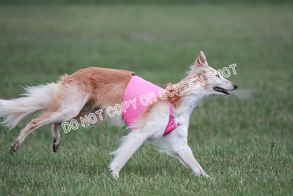 B Prelim Fch 1 Chyna Possum-0720