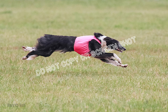 A Prelim Open 2 Camper Saucy-0603