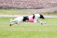 A Prelim Open Siona Bear-0825