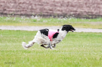 A Prelim Open Siona Bear-0823