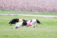 A Prelim Open Siona Bear-0820