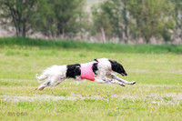 A Prelim Open Siona Bear-0830