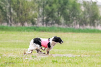 A Prelim Open Siona Bear-0832