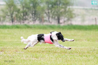 A Prelim Open Siona Bear-0835