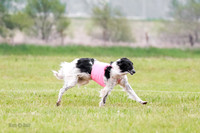 A Prelim Open Siona Bear-0841