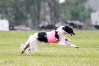 A Prelim Open Siona Bear-0843