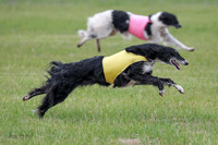 A Prelim Open Siona Bear-0848