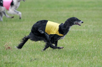 A Prelim Open Siona Bear-0851