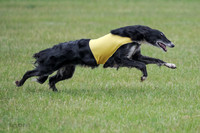 A Prelim Open Siona Bear-0853