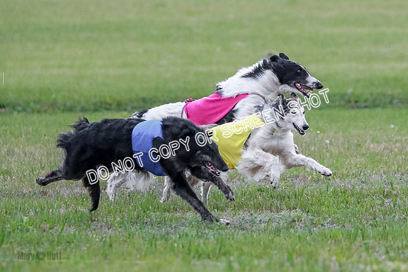 B Prelim Fch 1 Langley Imp Zip-0888