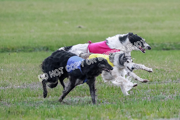 B Prelim Fch 1 Langley Imp Zip-0889