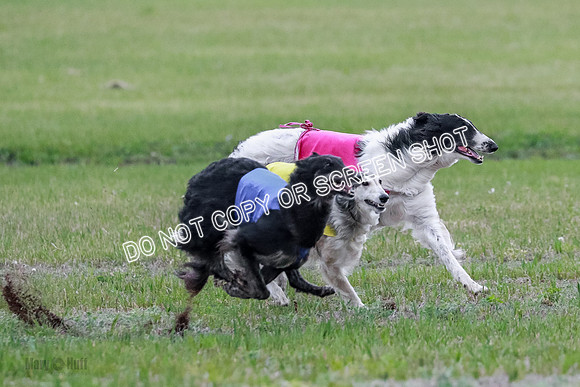 B Prelim Fch 1 Langley Imp Zip-0890