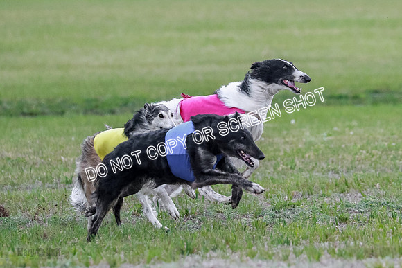 B Prelim Fch 1 Langley Imp Zip-0892