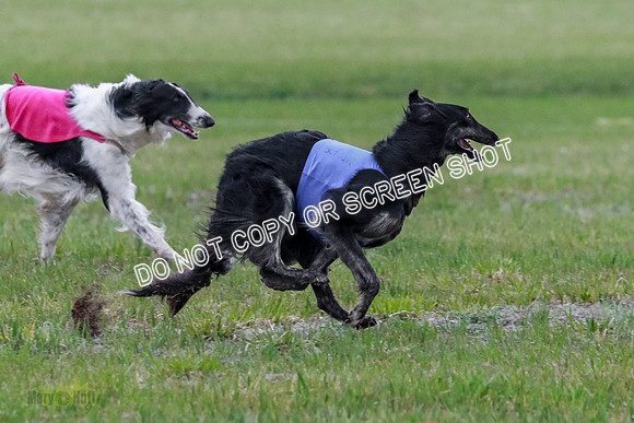B Prelim Fch 1 Langley Imp Zip-0897