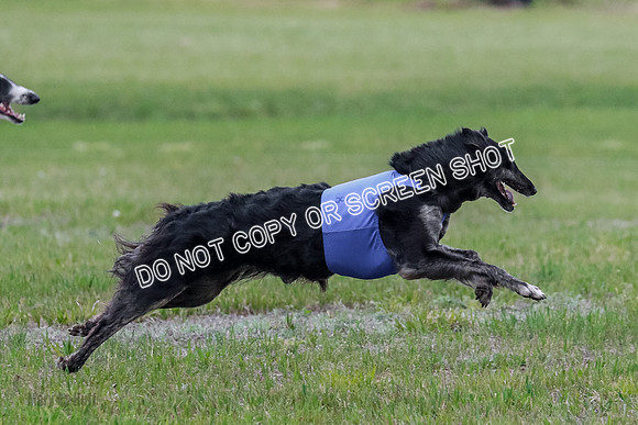 B Prelim Fch 1 Langley Imp Zip-0899