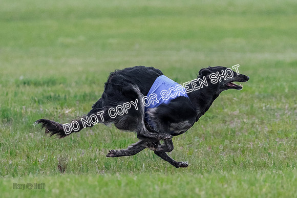 B Prelim Fch 1 Langley Imp Zip-0902