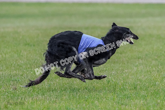 B Prelim Fch 1 Langley Imp Zip-0907