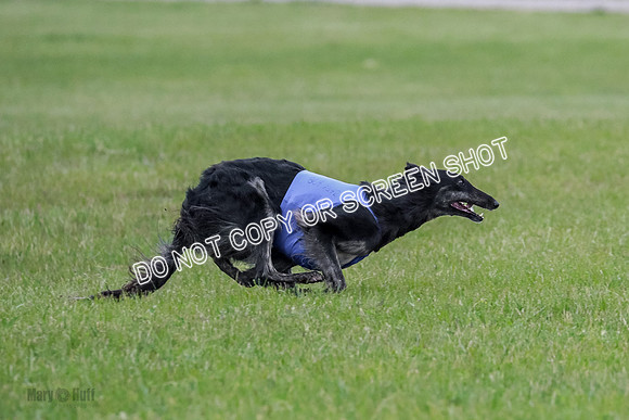 B Prelim Fch 1 Langley Imp Zip-0906