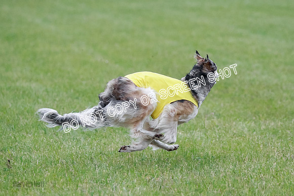 B Prelim Fch 1 Langley Imp Zip-0914