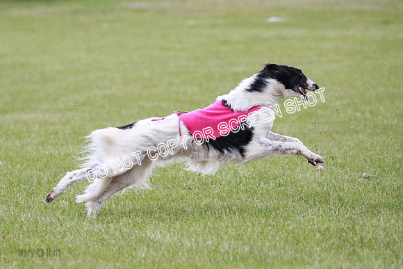 B Prelim Fch 1 Langley Imp Zip-0919