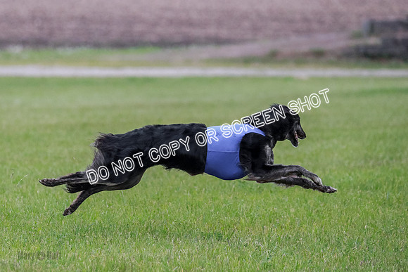 B Prelim Fch 1 Langley Imp Zip-0910
