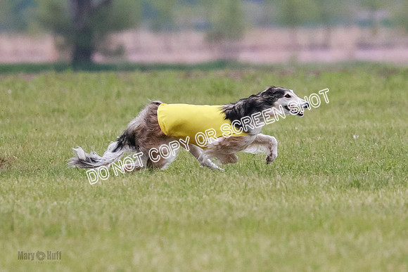 B Prelim Fch 1 Langley Imp Zip-0938