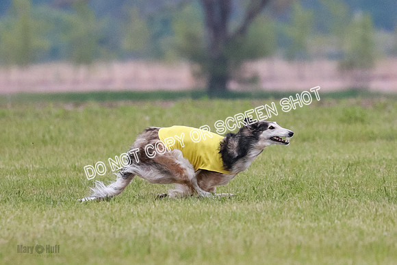 B Prelim Fch 1 Langley Imp Zip-0937