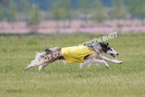 B Prelim Fch 1 Langley Imp Zip-0939