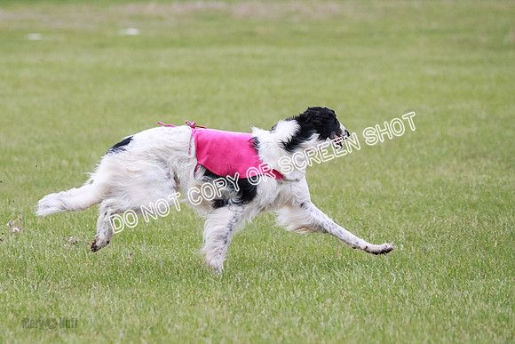 B Prelim Fch 1 Langley Imp Zip-0921