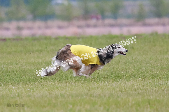 B Prelim Fch 1 Langley Imp Zip-0941