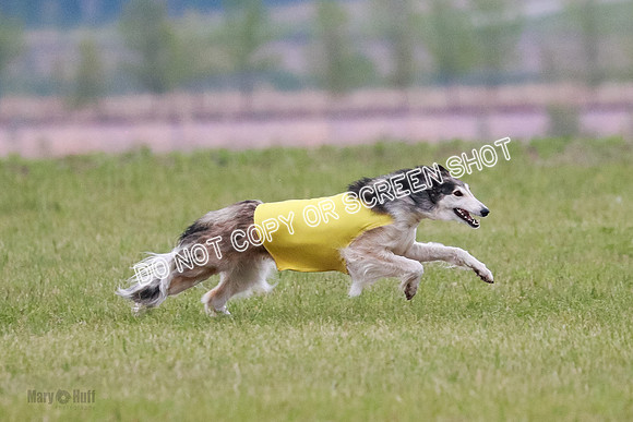 B Prelim Fch 1 Langley Imp Zip-0943