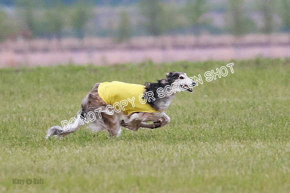 B Prelim Fch 1 Langley Imp Zip-0942