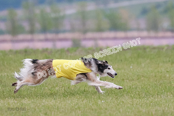 B Prelim Fch 1 Langley Imp Zip-0944