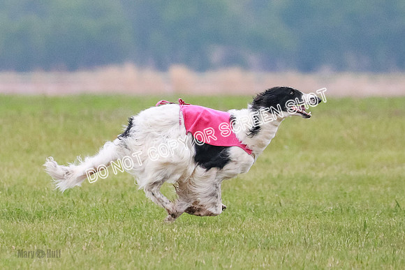 B Prelim Fch 1 Langley Imp Zip-0947