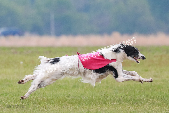 B Prelim Fch 1 Langley Imp Zip-0949