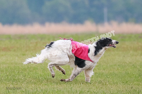 B Prelim Fch 1 Langley Imp Zip-0951