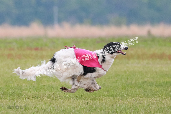 B Prelim Fch 1 Langley Imp Zip-0952