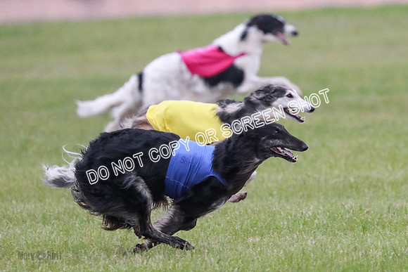 B Prelim Fch 1 Langley Imp Zip-0955