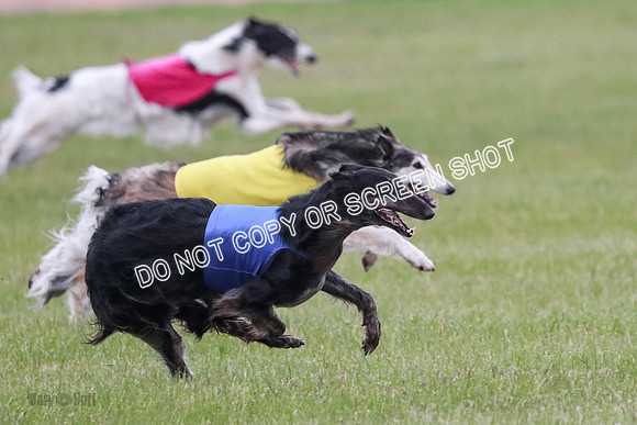 B Prelim Fch 1 Langley Imp Zip-0956