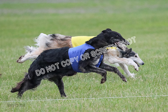 B Prelim Fch 1 Langley Imp Zip-0957