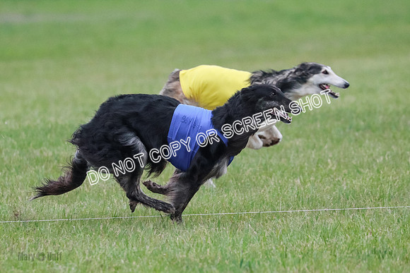 B Prelim Fch 1 Langley Imp Zip-0960