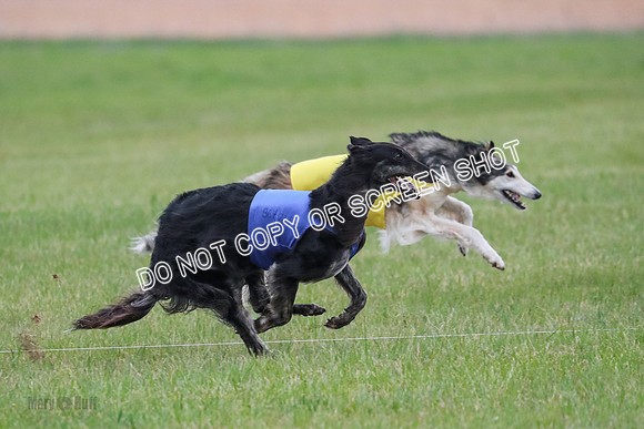 B Prelim Fch 1 Langley Imp Zip-0961