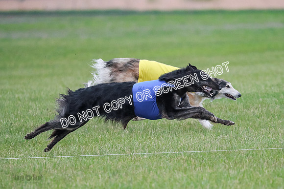 B Prelim Fch 1 Langley Imp Zip-0958