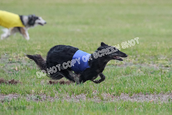 B Prelim Fch 1 Langley Imp Zip-0969