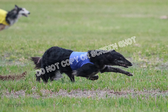 B Prelim Fch 1 Langley Imp Zip-0970