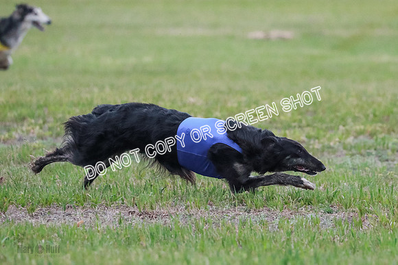 B Prelim Fch 1 Langley Imp Zip-0971