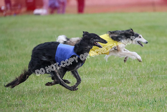 B Prelim Fch 1 Langley Imp Zip-0966
